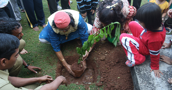 smkyf-tree-plantation