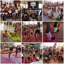 Activity - district-level-yoga-competition